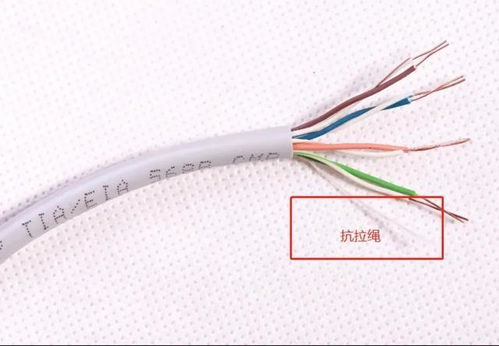从上网卡顿到网速测试 深入理解五类与六类网线的本质区别
