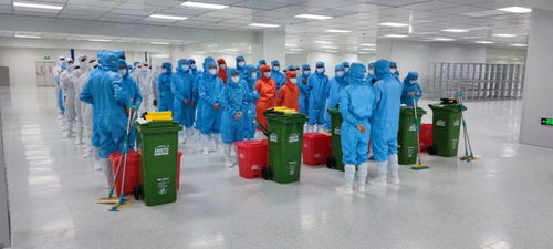 提前35天！TCL华星印度模组厂首片产品成功点亮，智能制造再提速